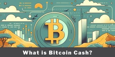 What is Bitcoin Cash? Features, investment prospects, and benefits of transferring money for online gambling explained.